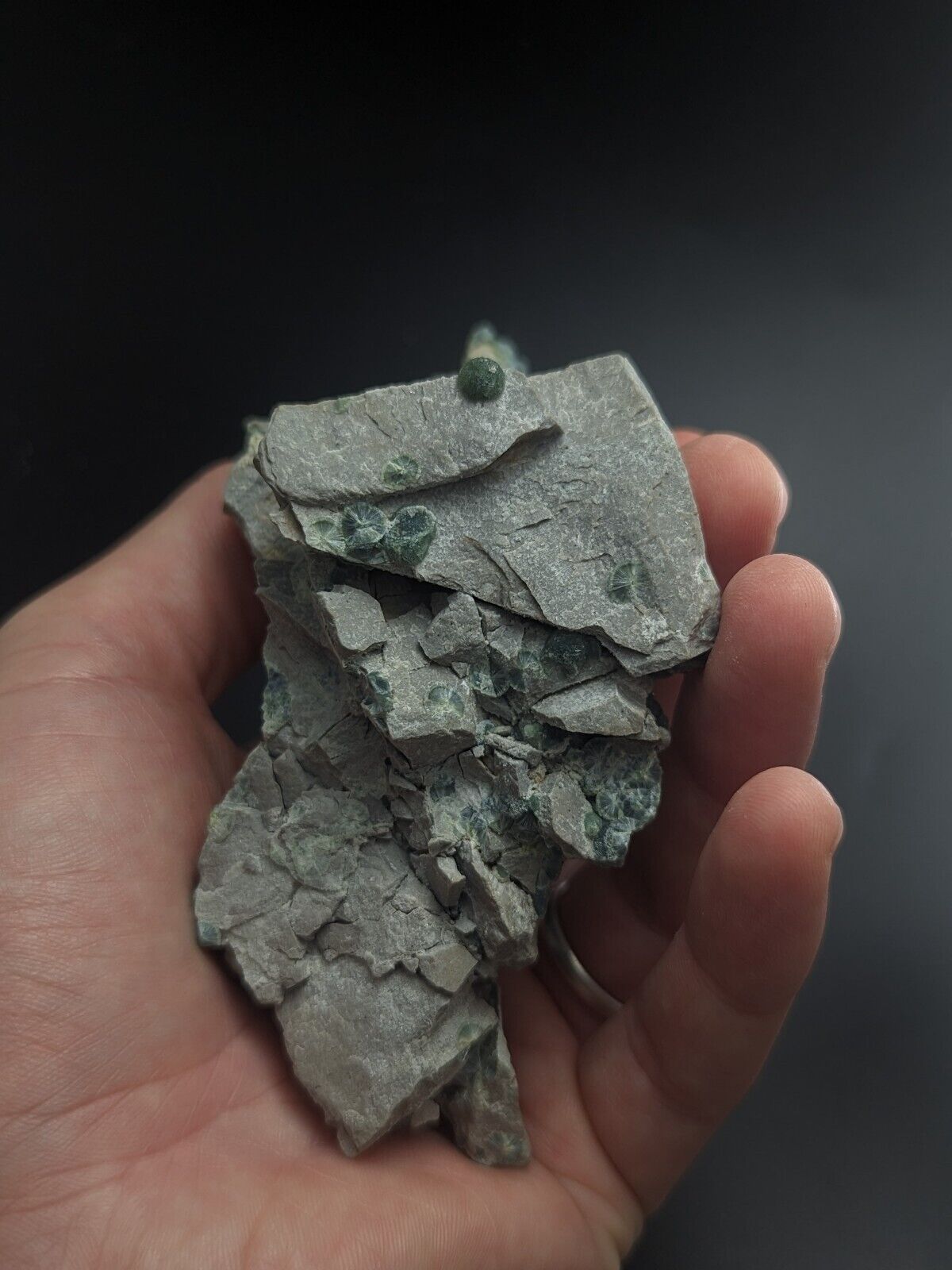 Blue-Green Wavellite - Delinde / Schmitt mine - Garland County Arkansas - Collectibles:Rocks Fossils &
