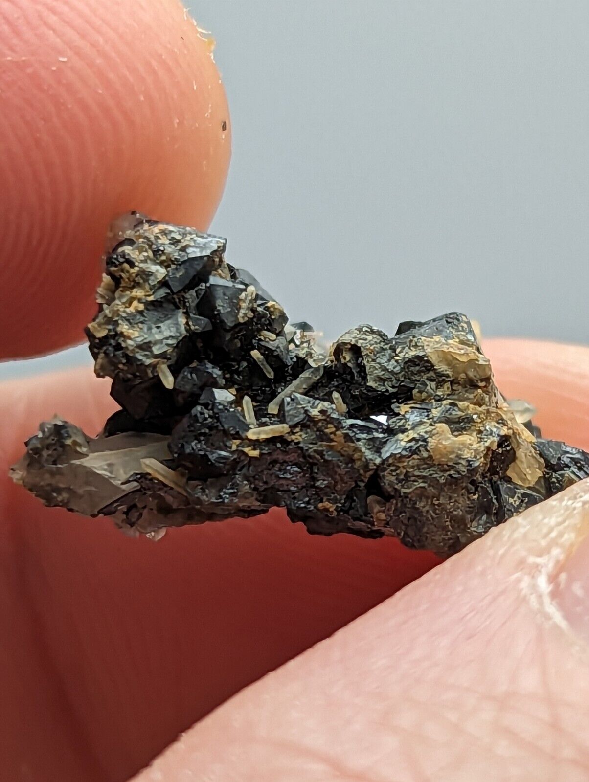 Brookite Crystals Magnet Cove Arkansas Rare Old Stock Micro Specimen - Collectibles:Rocks Fossils & Minerals:Crystals