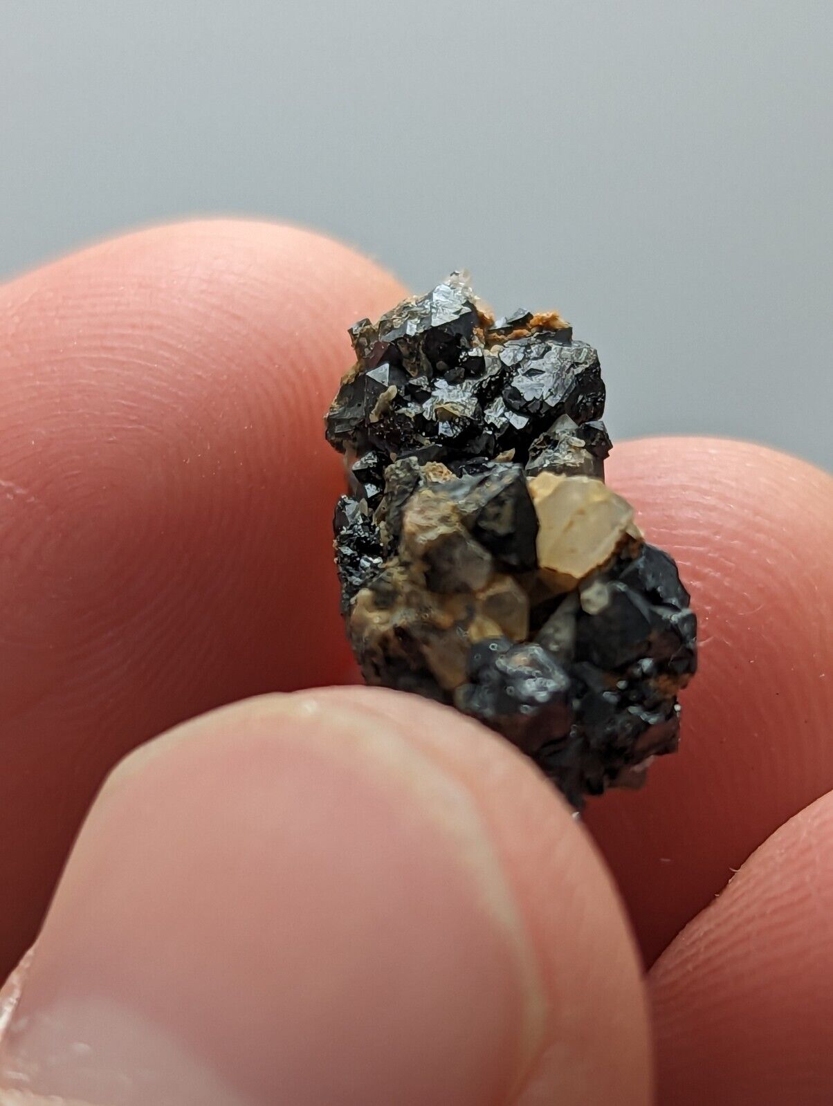 Brookite Crystals Magnet Cove Arkansas Rare Old Stock Micro Specimen - Collectibles:Rocks Fossils & Minerals:Crystals