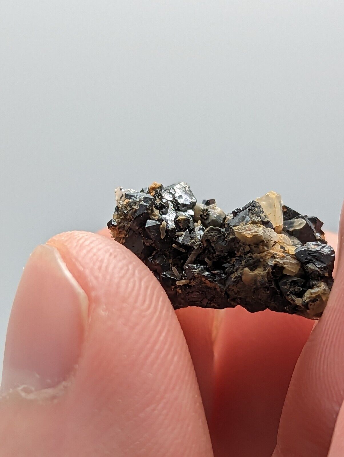 Brookite Crystals Magnet Cove Arkansas Rare Old Stock Micro Specimen - Collectibles:Rocks Fossils & Minerals:Crystals