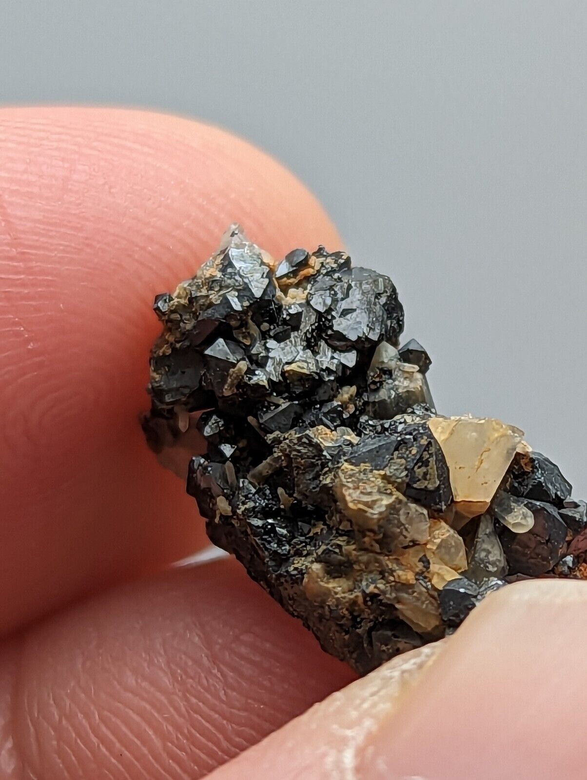 Brookite Crystals Magnet Cove Arkansas Rare Old Stock Micro Specimen - Collectibles:Rocks Fossils & Minerals:Crystals