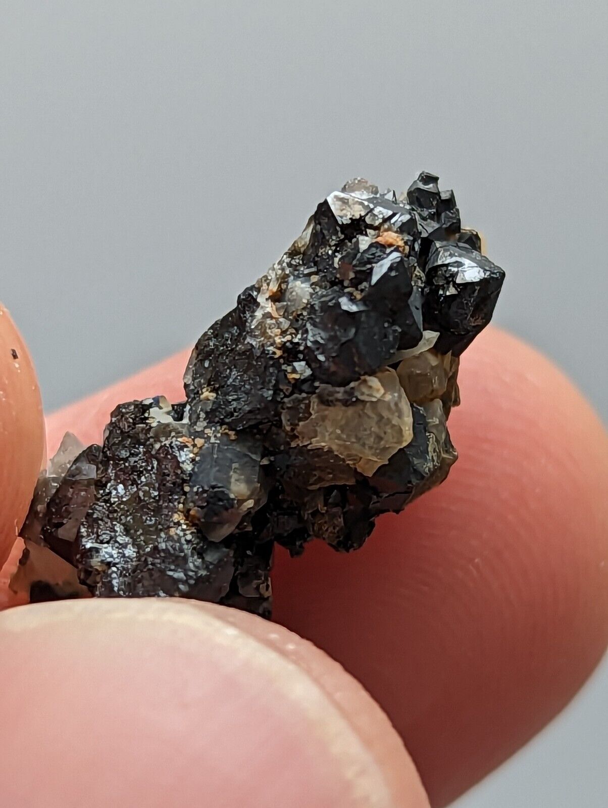 Brookite Crystals Magnet Cove Arkansas Rare Old Stock Micro Specimen - Collectibles:Rocks Fossils & Minerals:Crystals