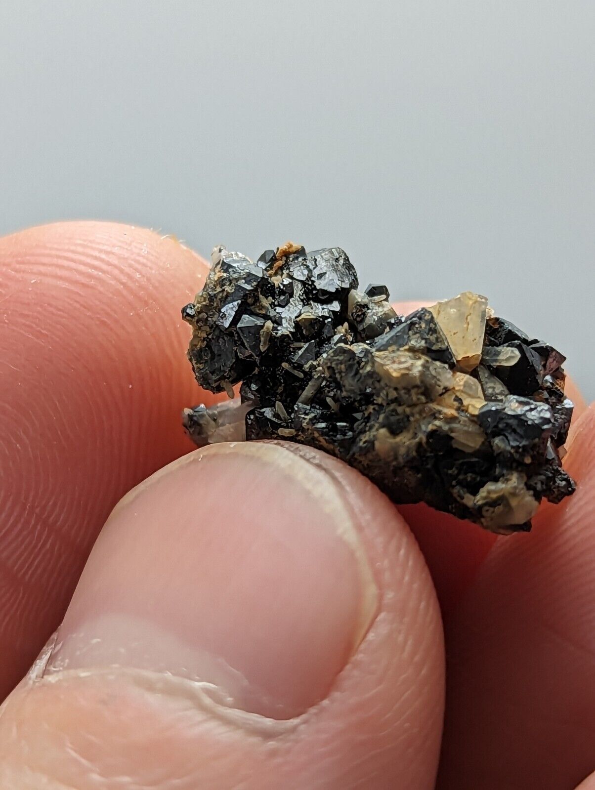 Brookite Crystals Magnet Cove Arkansas Rare Old Stock Micro Specimen - Collectibles:Rocks Fossils & Minerals:Crystals