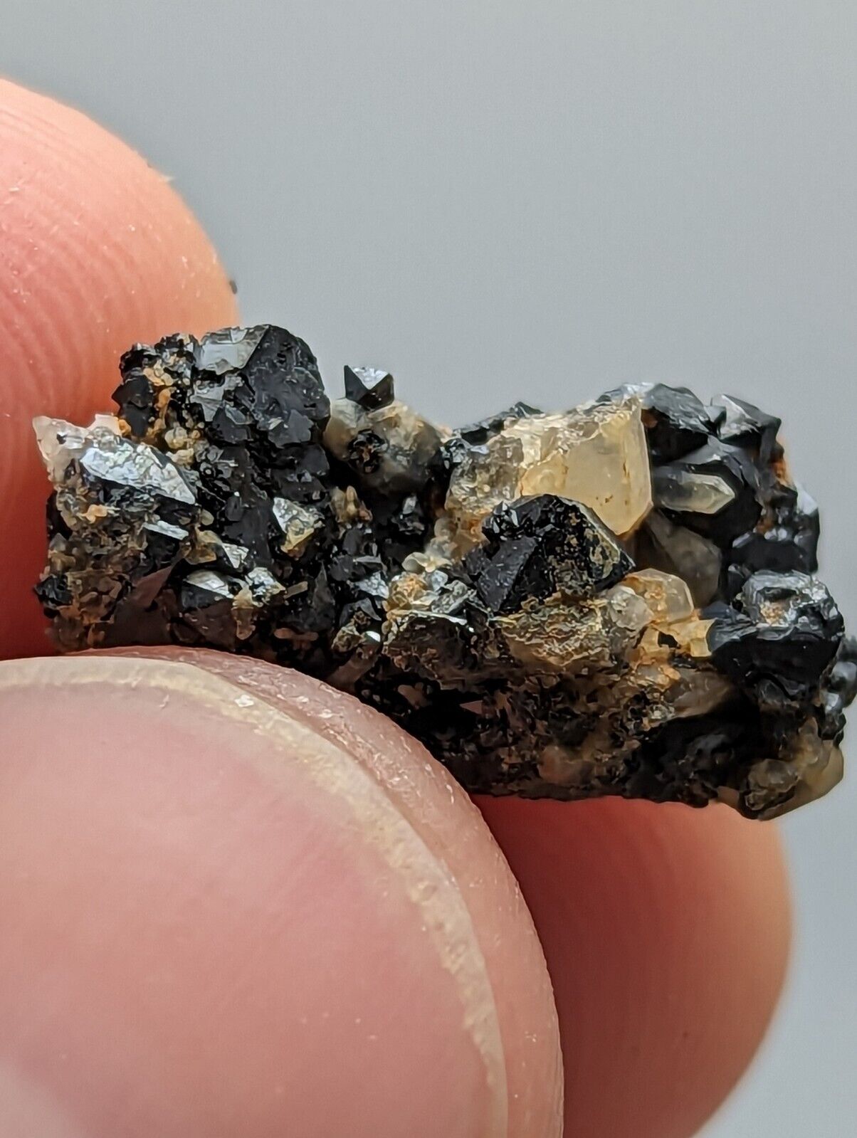 Brookite Crystals Magnet Cove Arkansas Rare Old Stock Micro Specimen - Collectibles:Rocks Fossils & Minerals:Crystals