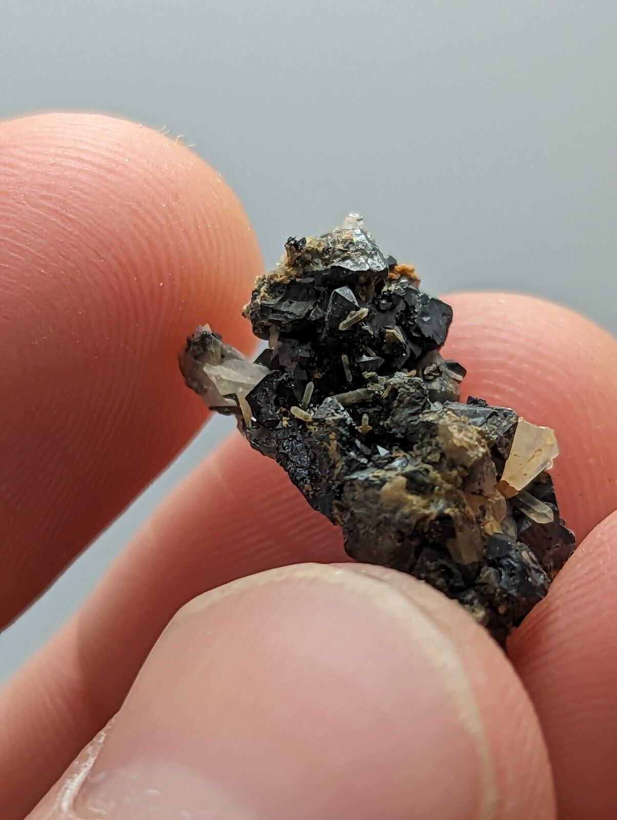 Brookite Crystals Magnet Cove Arkansas Rare Old Stock Micro Specimen - Collectibles:Rocks Fossils & Minerals:Crystals