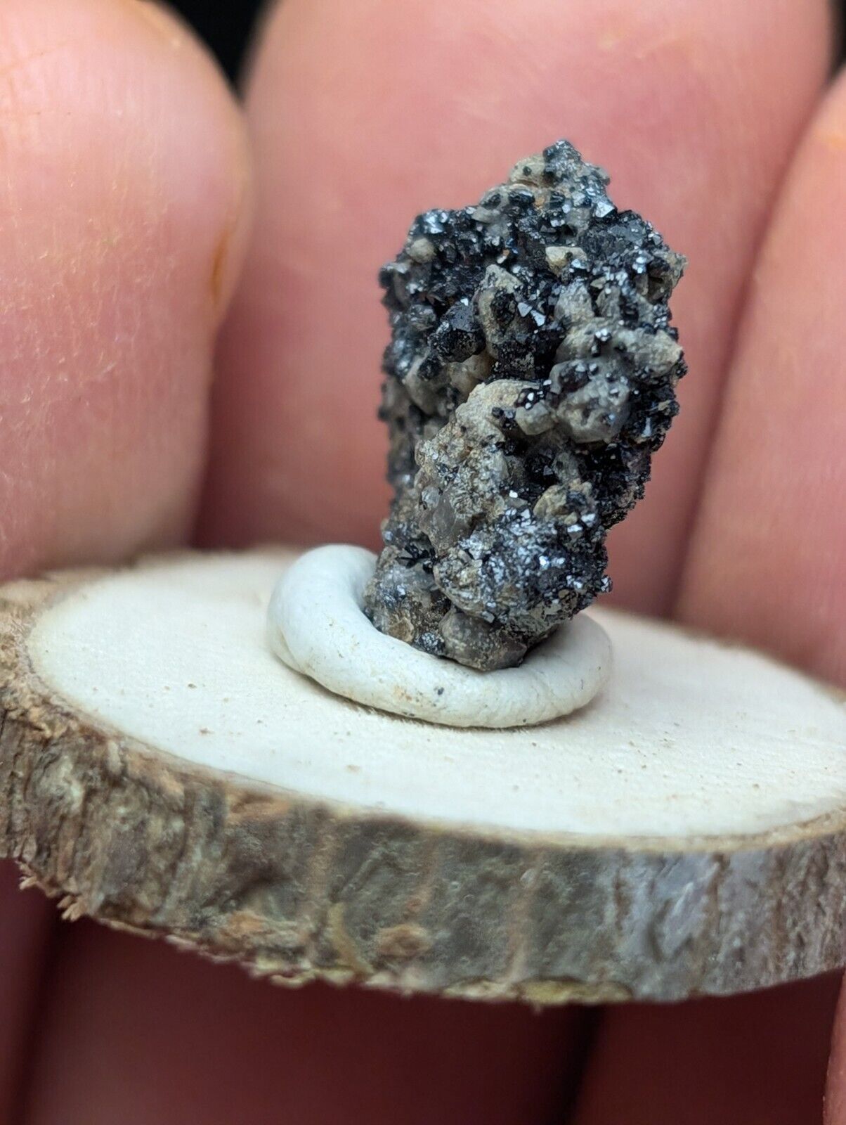 Brookite on Smoky Quartz Magnet Cove Arkansas USA Old Stock w/ wood display - Collectibles:Rocks Fossils &