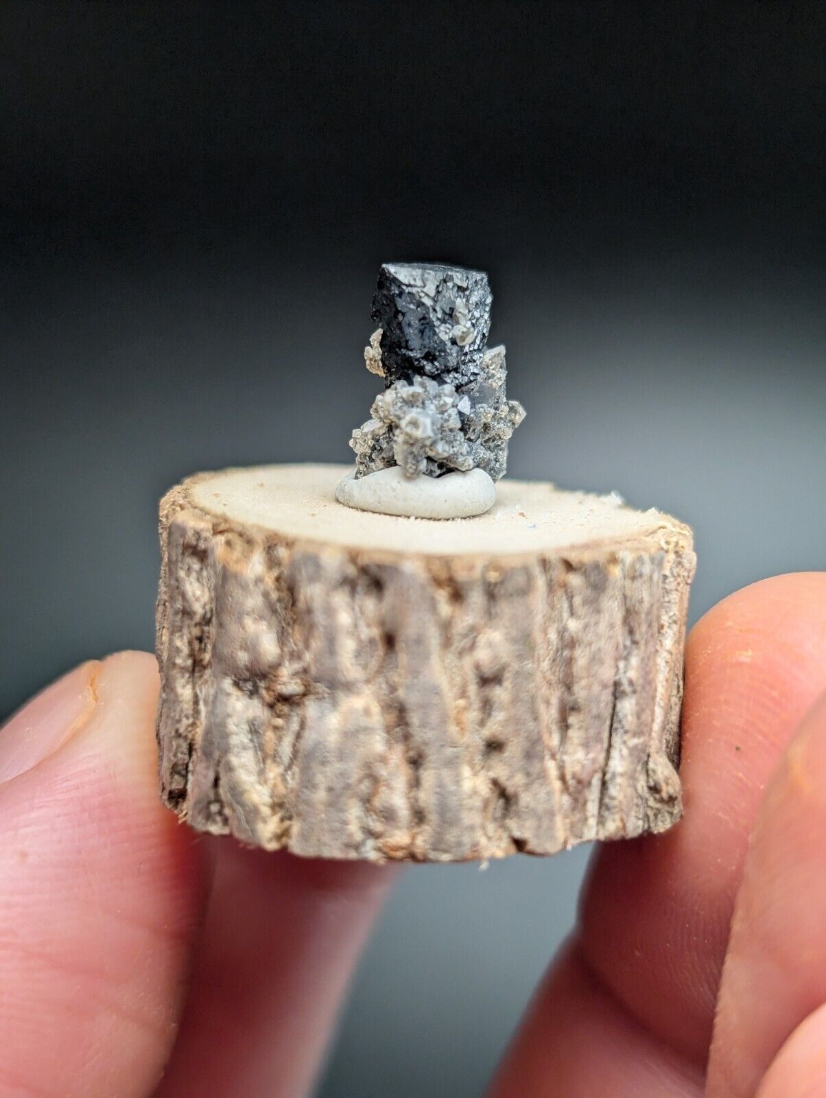 Galena crystal specimen on a wooden base.