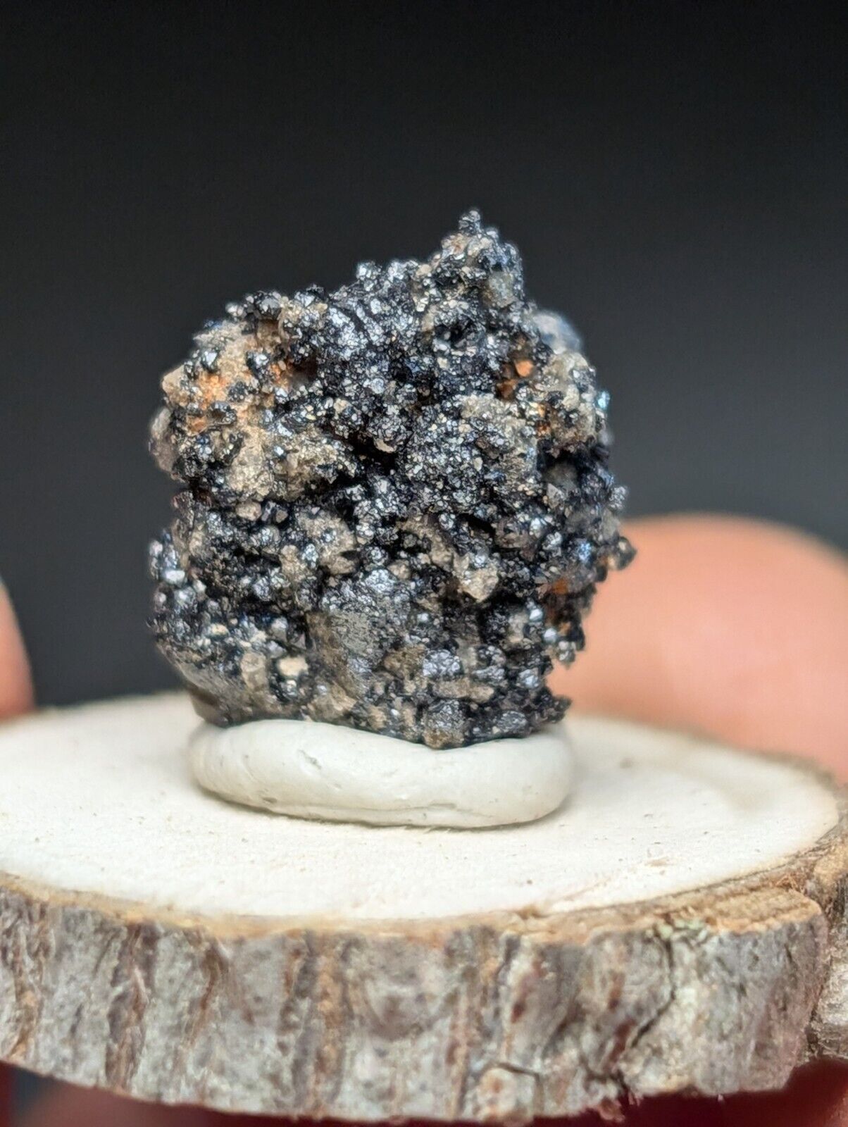 Brookite on Smoky Quartz Magnet Cove Arkansas USA Old Stock w/ wood display - Collectibles:Rocks Fossils &