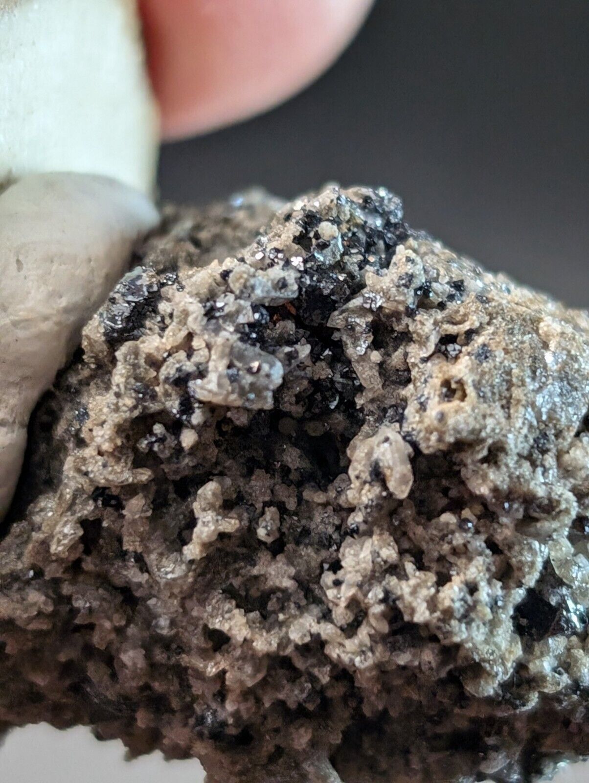Rough, gray mineral specimen with black and clear crystals.