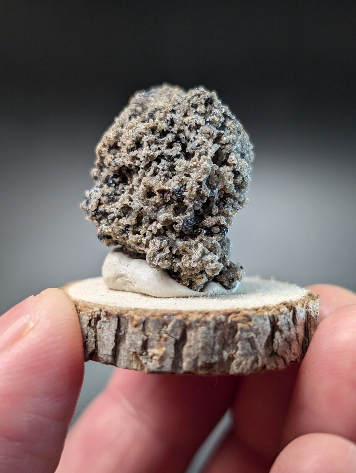 Porous gray mineral specimen.