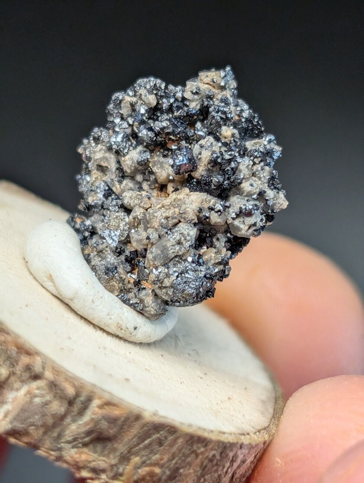 Brookite on Smoky Quartz Magnet Cove Arkansas USA Old Stock w/ wood display - Collectibles:Rocks Fossils &
