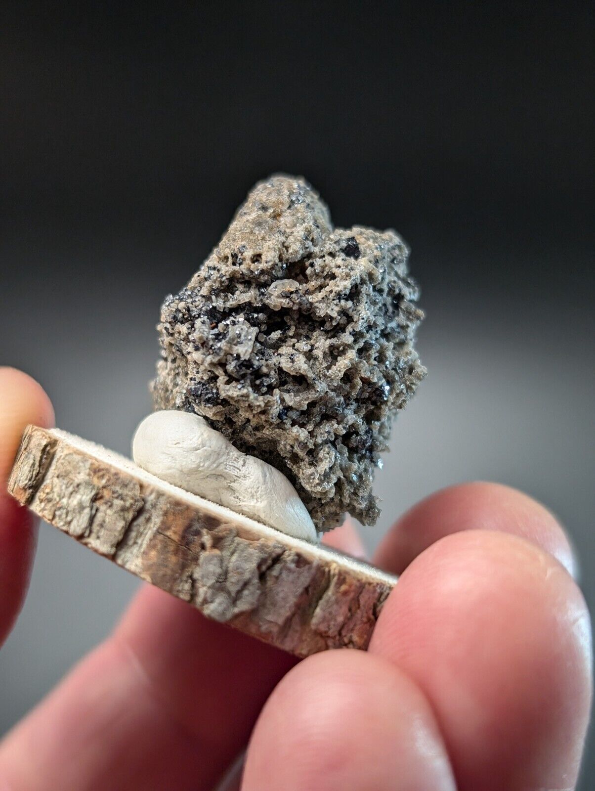 Porous gray mineral specimen.