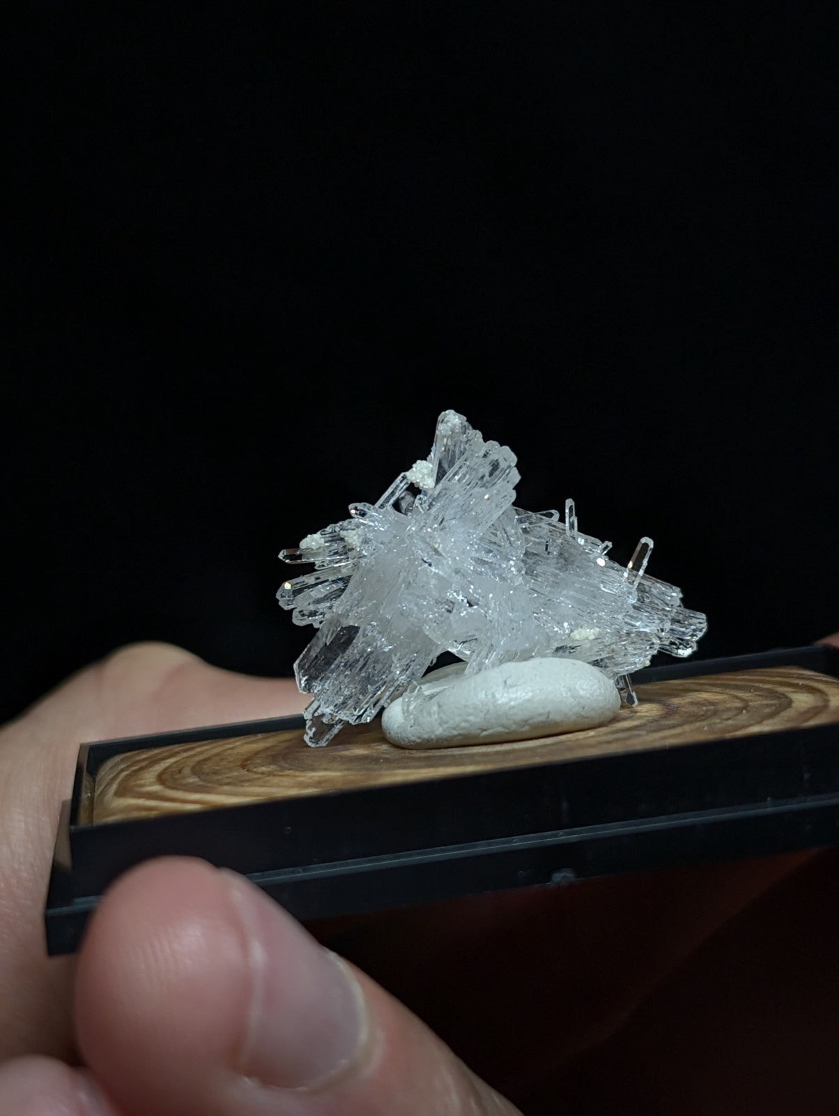 A clear, translucent crystal cluster with sharp, jagged edges rests on a smooth white stone within a wooden display tray.