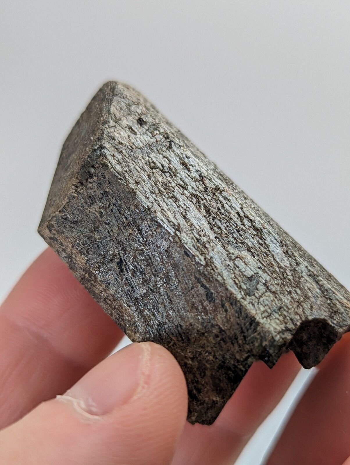 Diopside (Ex Henry Delinde Collection) Yates Mine Quebec Canada 1977 - Collectibles:Rocks Fossils & Minerals:Crystals