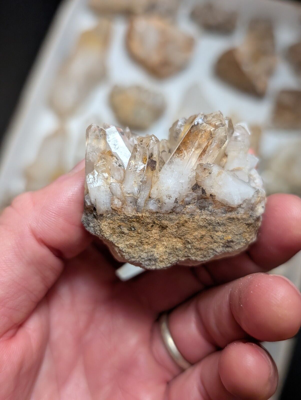 Flat of 31 Natural Quartz Crystal Specimens - Arkansas USA (Clusters Points) - Collectibles:Rocks Fossils &