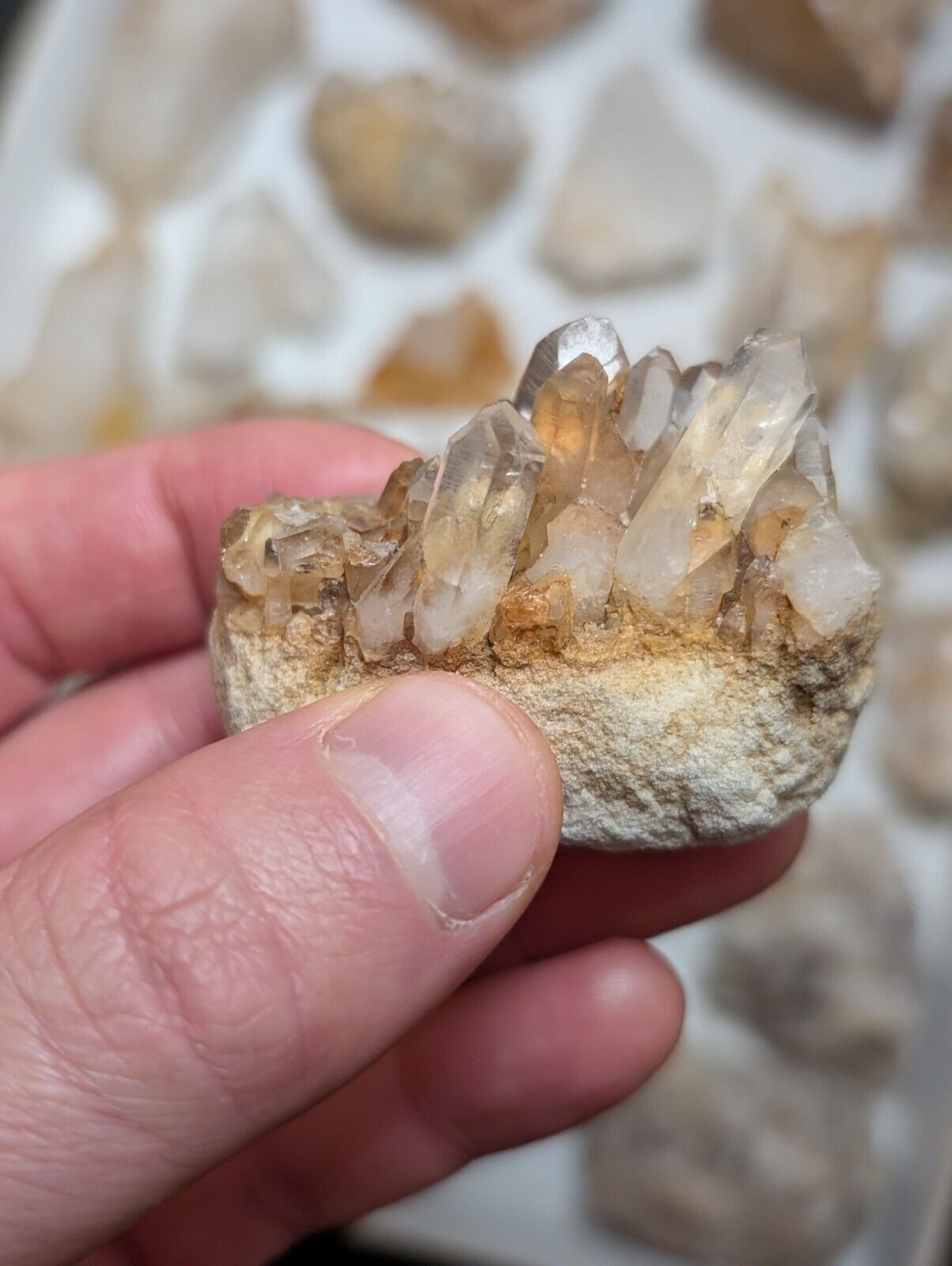 Flat of 31 Natural Quartz Crystal Specimens - Arkansas USA (Clusters Points) - Collectibles:Rocks Fossils &