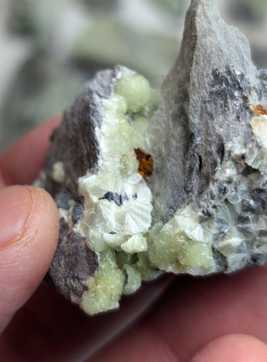 Flat of 39 Specimens Wavellite + Planerite Crystal Clusters (Arkansas USA - Collectibles:Rocks Fossils &