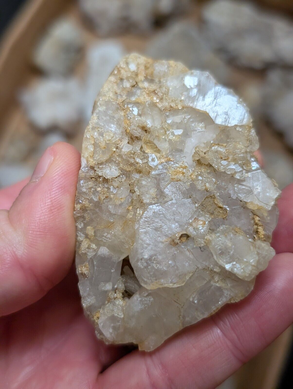 Flat of 55 Natural Quartz Crystal Specimens - Arkansas USA (Clusters Points) - Collectibles:Rocks Fossils &