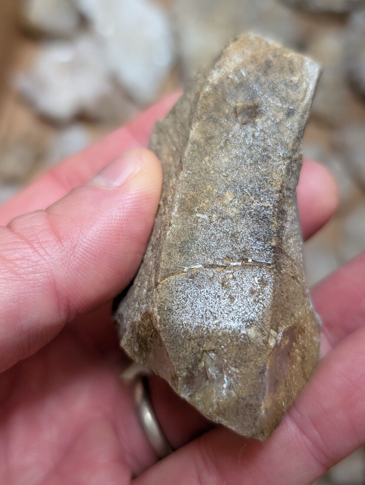 Flat of 55 Natural Quartz Crystal Specimens - Arkansas USA (Clusters Points) - Collectibles:Rocks Fossils &