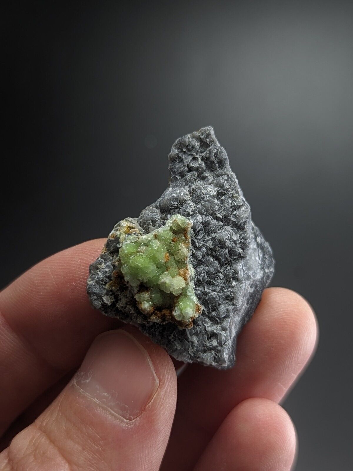 FluorWavellite on Grey Quartz -Intermixed With SiO2- Mauldin Mountain Arkansas - Collectibles:Rocks Fossils &