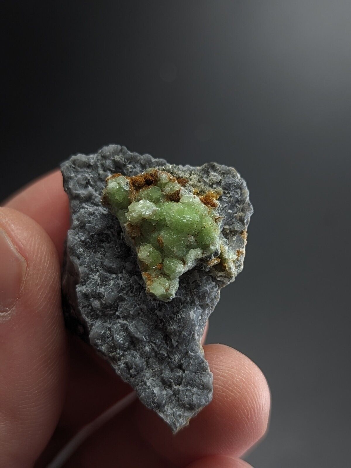 FluorWavellite on Grey Quartz -Intermixed With SiO2- Mauldin Mountain Arkansas - Collectibles:Rocks Fossils &