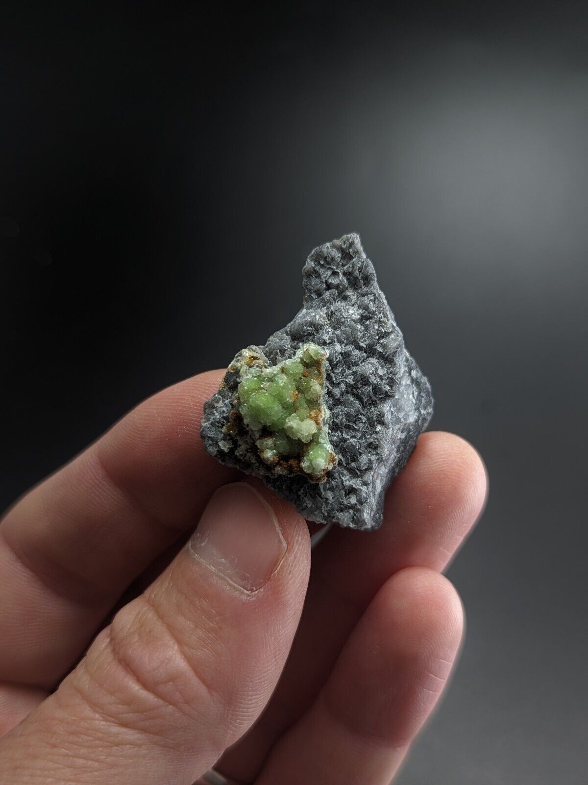 FluorWavellite on Grey Quartz -Intermixed With SiO2- Mauldin Mountain Arkansas - Collectibles:Rocks Fossils &