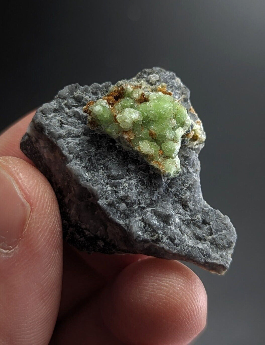 FluorWavellite on Grey Quartz -Intermixed With SiO2- Mauldin Mountain Arkansas - Collectibles:Rocks Fossils &