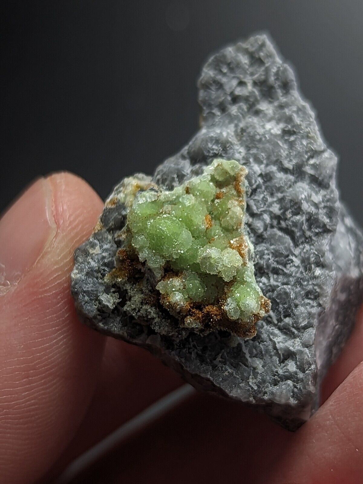 FluorWavellite on Grey Quartz -Intermixed With SiO2- Mauldin Mountain Arkansas - Collectibles:Rocks Fossils &
