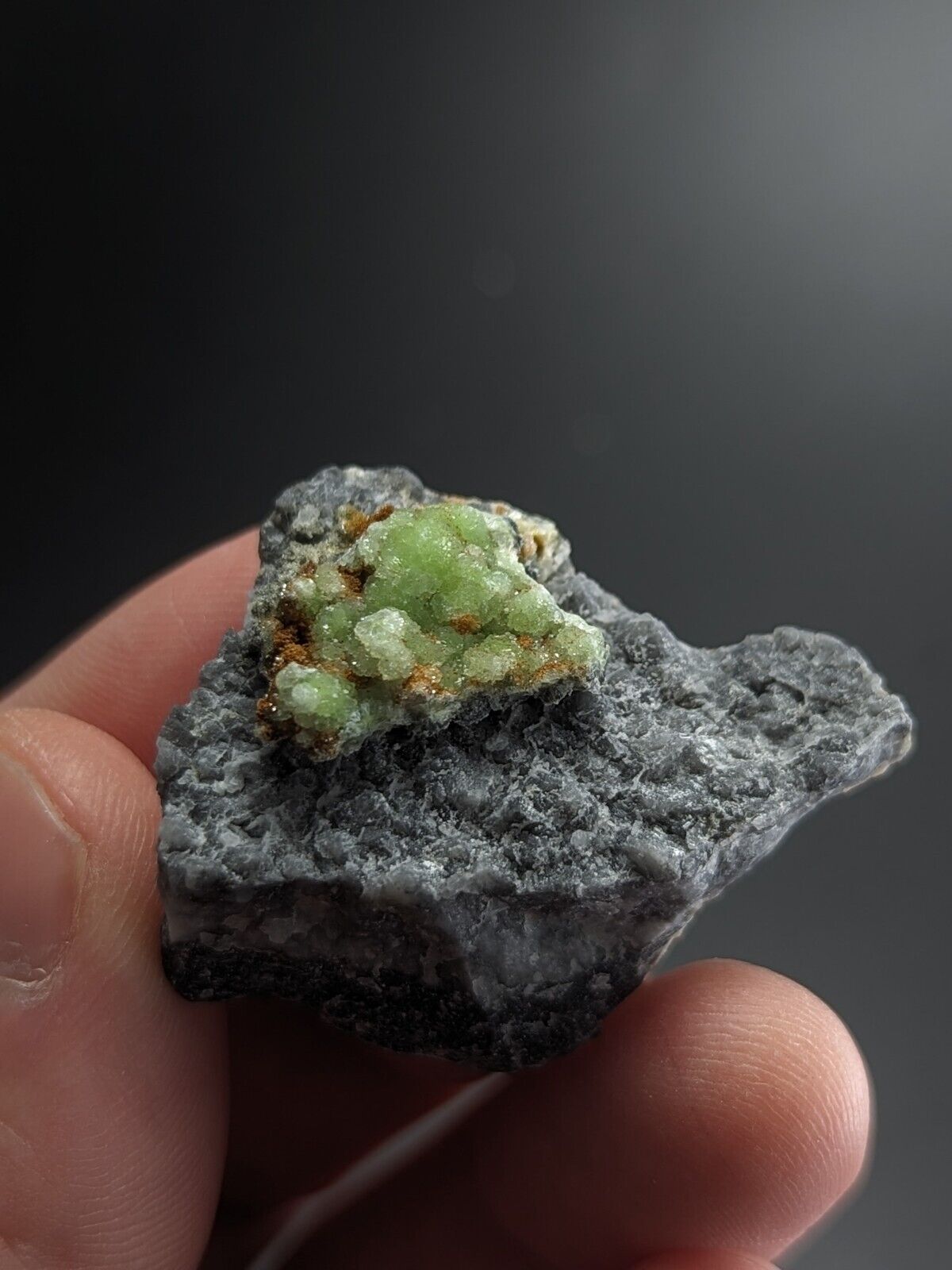 FluorWavellite on Grey Quartz -Intermixed With SiO2- Mauldin Mountain Arkansas - Collectibles:Rocks Fossils &