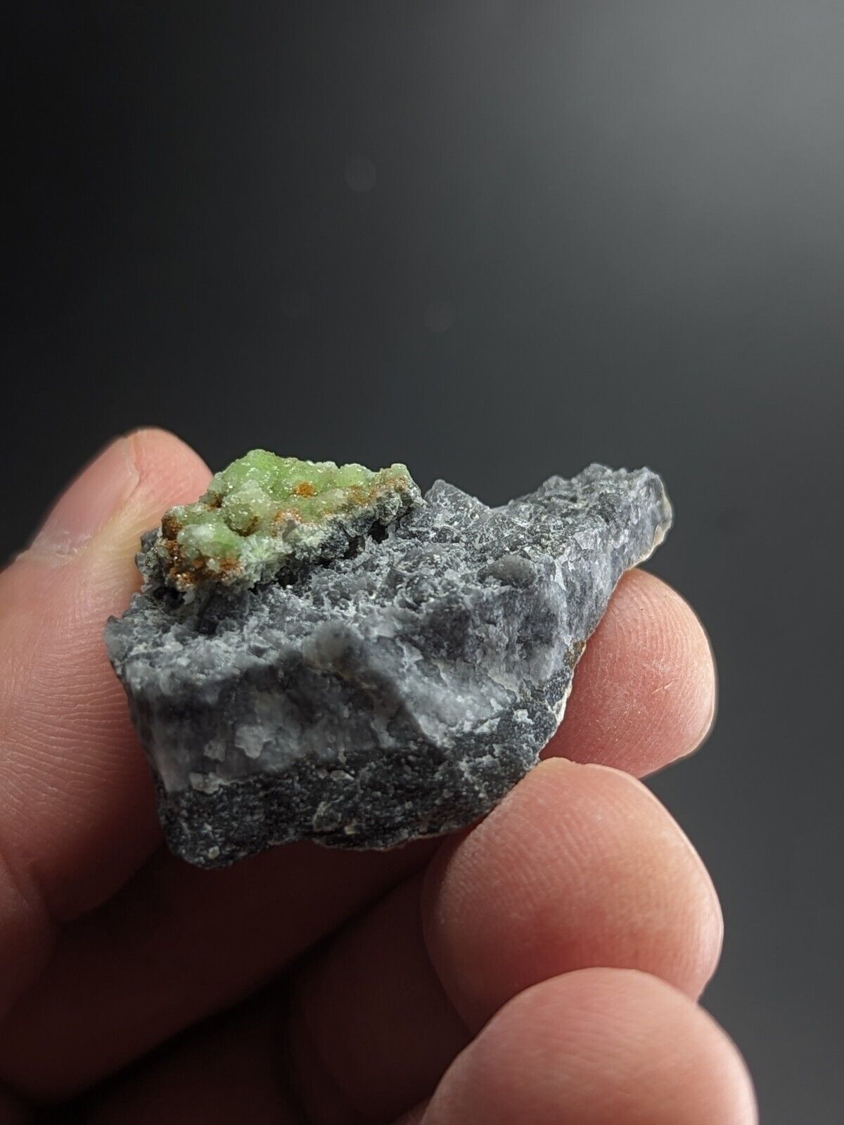 FluorWavellite on Grey Quartz -Intermixed With SiO2- Mauldin Mountain Arkansas - Collectibles:Rocks Fossils &