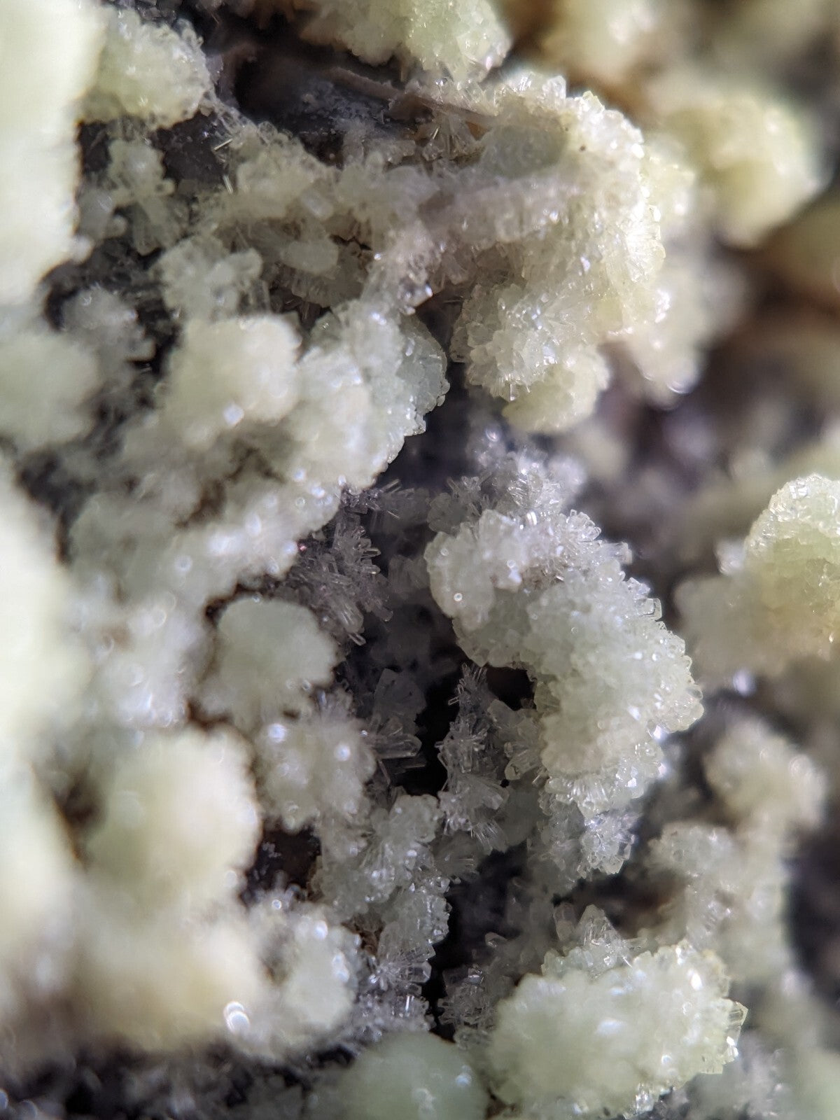 Translucent, crystalline mineral formations with a pale greenish-white hue and delicate, branching structures.