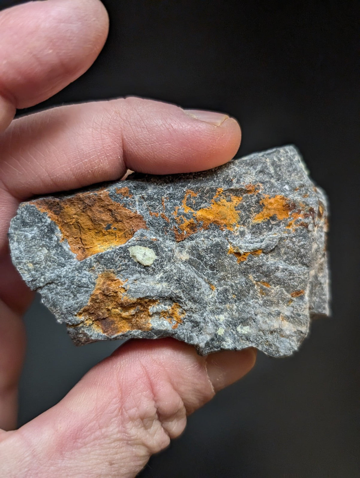 A rugged, gray rock with patches of orange and a small white mineral embedded in its surface.