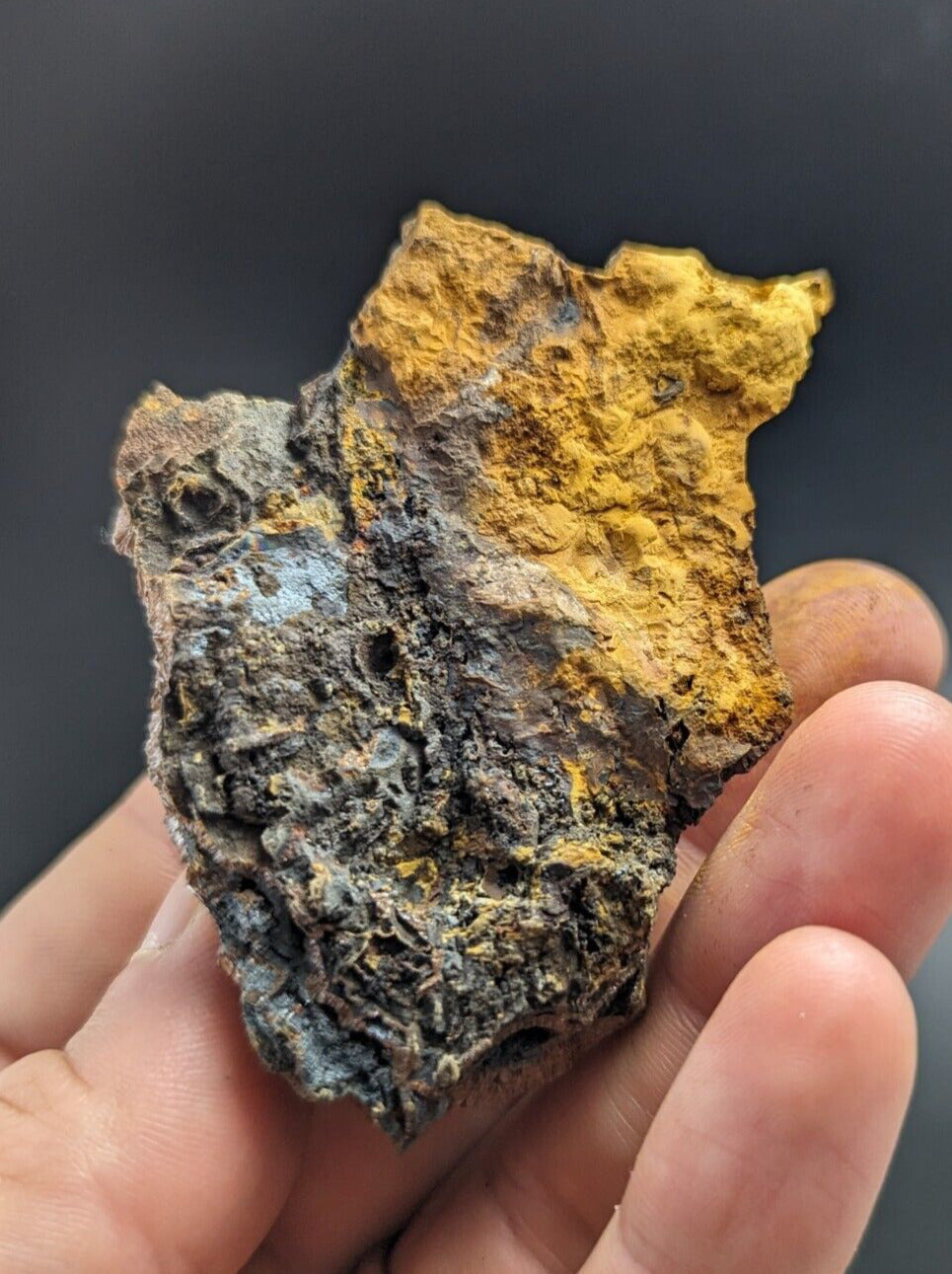Goethite Beraunite etc (RARE Coon Creek Polk Co. Arkansas) - Collectibles:Rocks Fossils & Minerals:Crystals Mineral