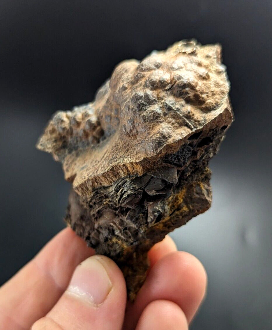 Goethite Beraunite etc (RARE Coon Creek Polk Co. Arkansas) - Collectibles:Rocks Fossils & Minerals:Crystals Mineral