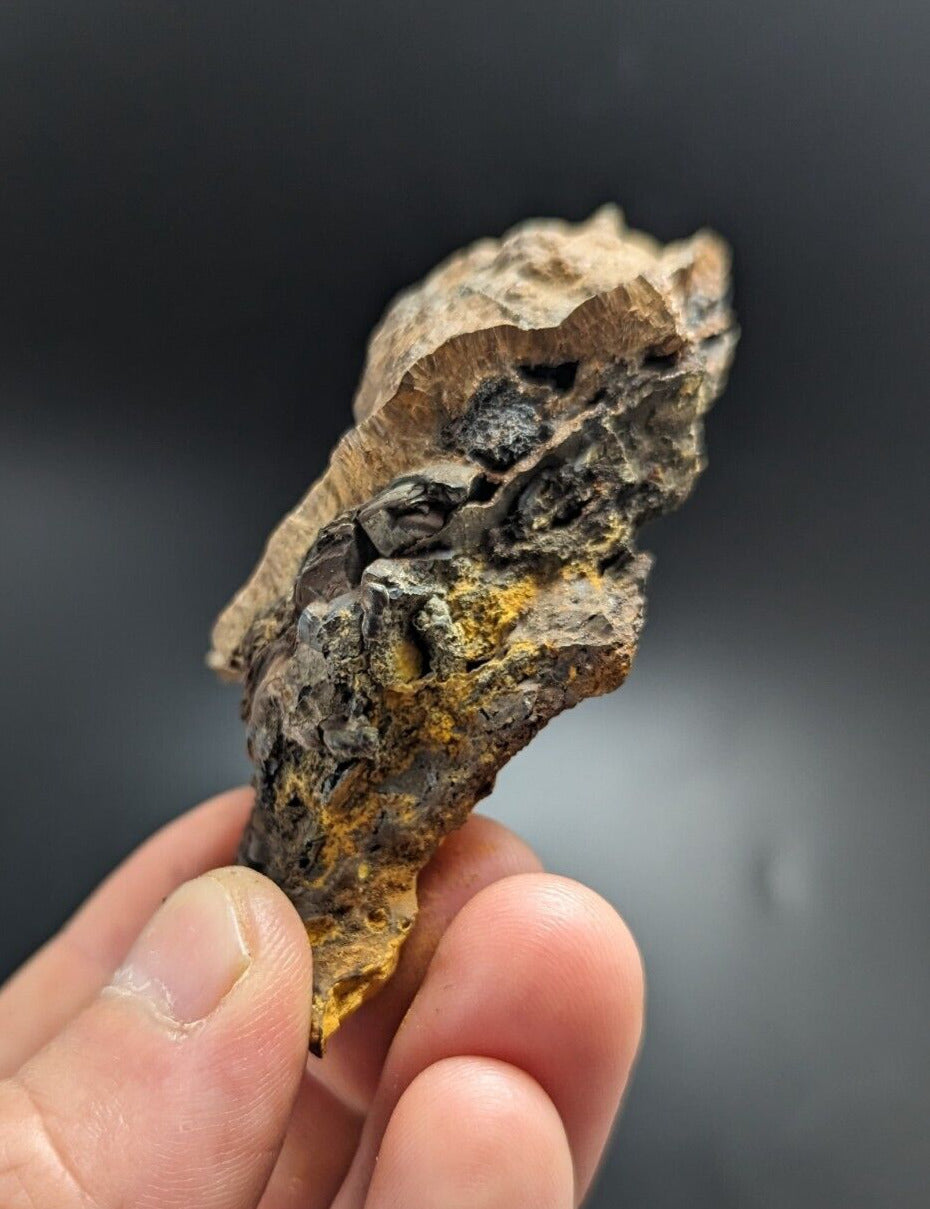 Goethite Beraunite etc (RARE Coon Creek Polk Co. Arkansas) - Collectibles:Rocks Fossils & Minerals:Crystals Mineral