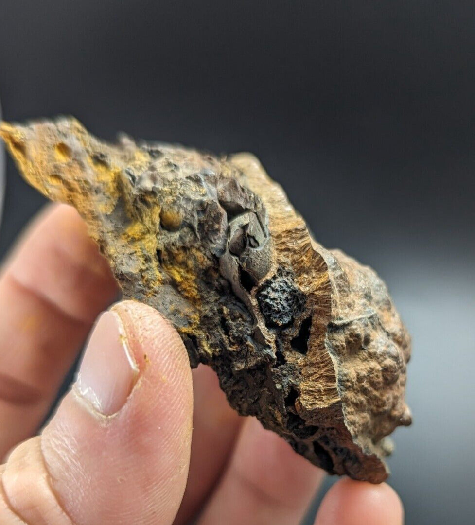 Goethite Beraunite etc (RARE Coon Creek Polk Co. Arkansas) - Collectibles:Rocks Fossils & Minerals:Crystals Mineral