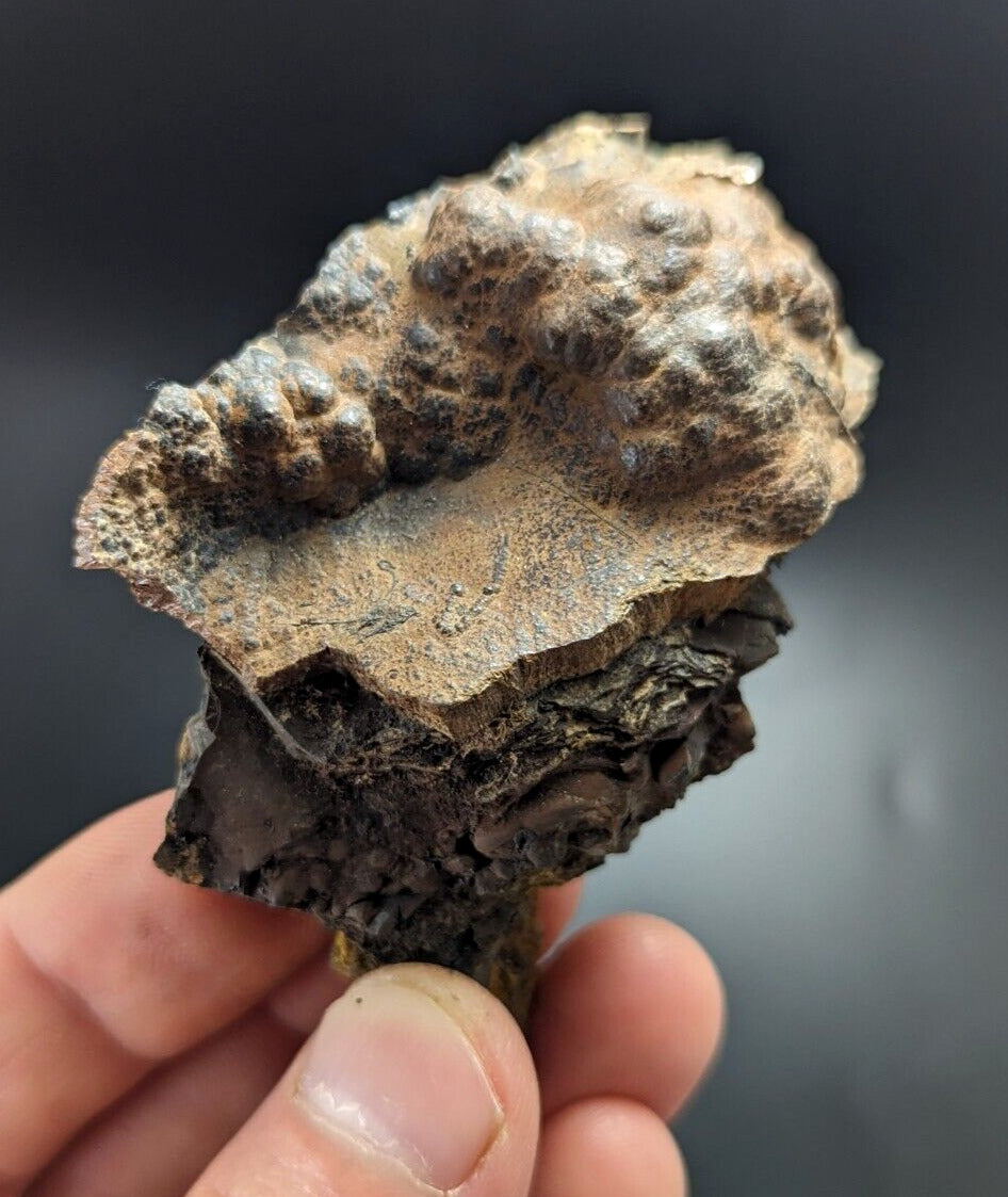 Goethite Beraunite etc (RARE Coon Creek Polk Co. Arkansas) - Collectibles:Rocks Fossils & Minerals:Crystals Mineral