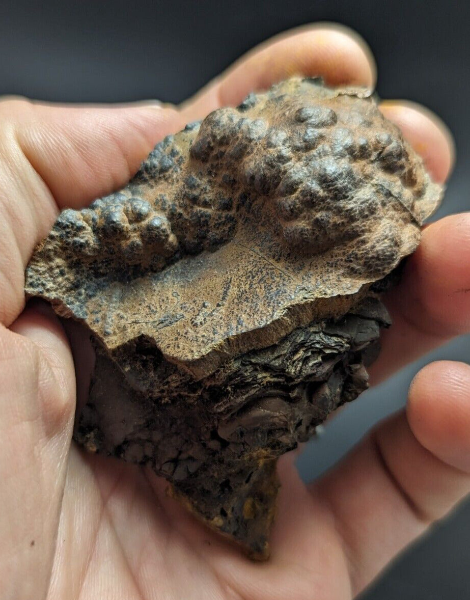Goethite Beraunite etc (RARE Coon Creek Polk Co. Arkansas) - Collectibles:Rocks Fossils & Minerals:Crystals Mineral