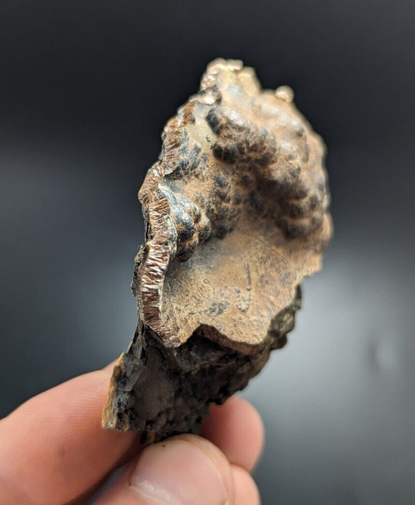 Goethite Beraunite etc (RARE Coon Creek Polk Co. Arkansas) - Collectibles:Rocks Fossils & Minerals:Crystals Mineral