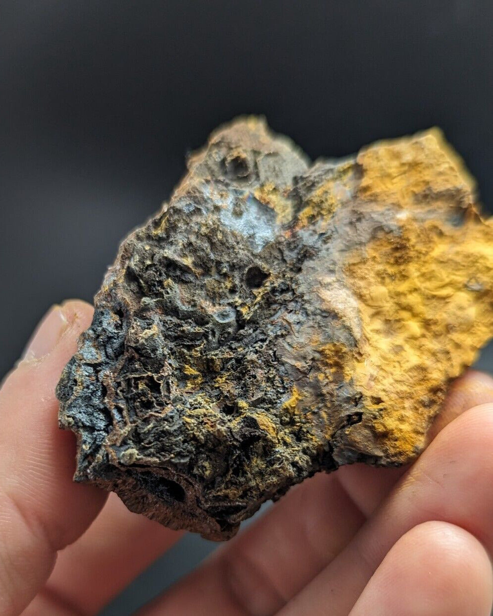 Goethite Beraunite etc (RARE Coon Creek Polk Co. Arkansas) - Collectibles:Rocks Fossils & Minerals:Crystals Mineral
