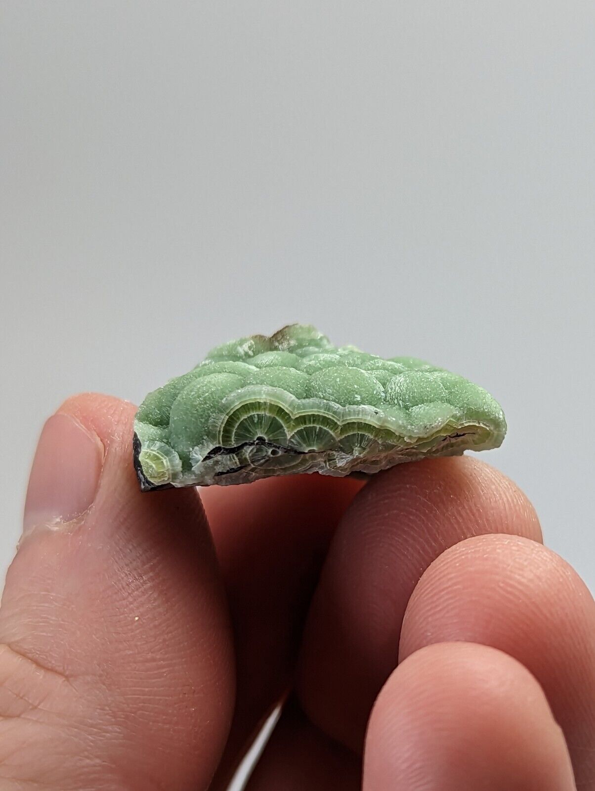 Green Wavellite - Fantastic 1990s Old Stock - Mauldin Mountain Arkansas - Collectibles:Rocks Fossils &