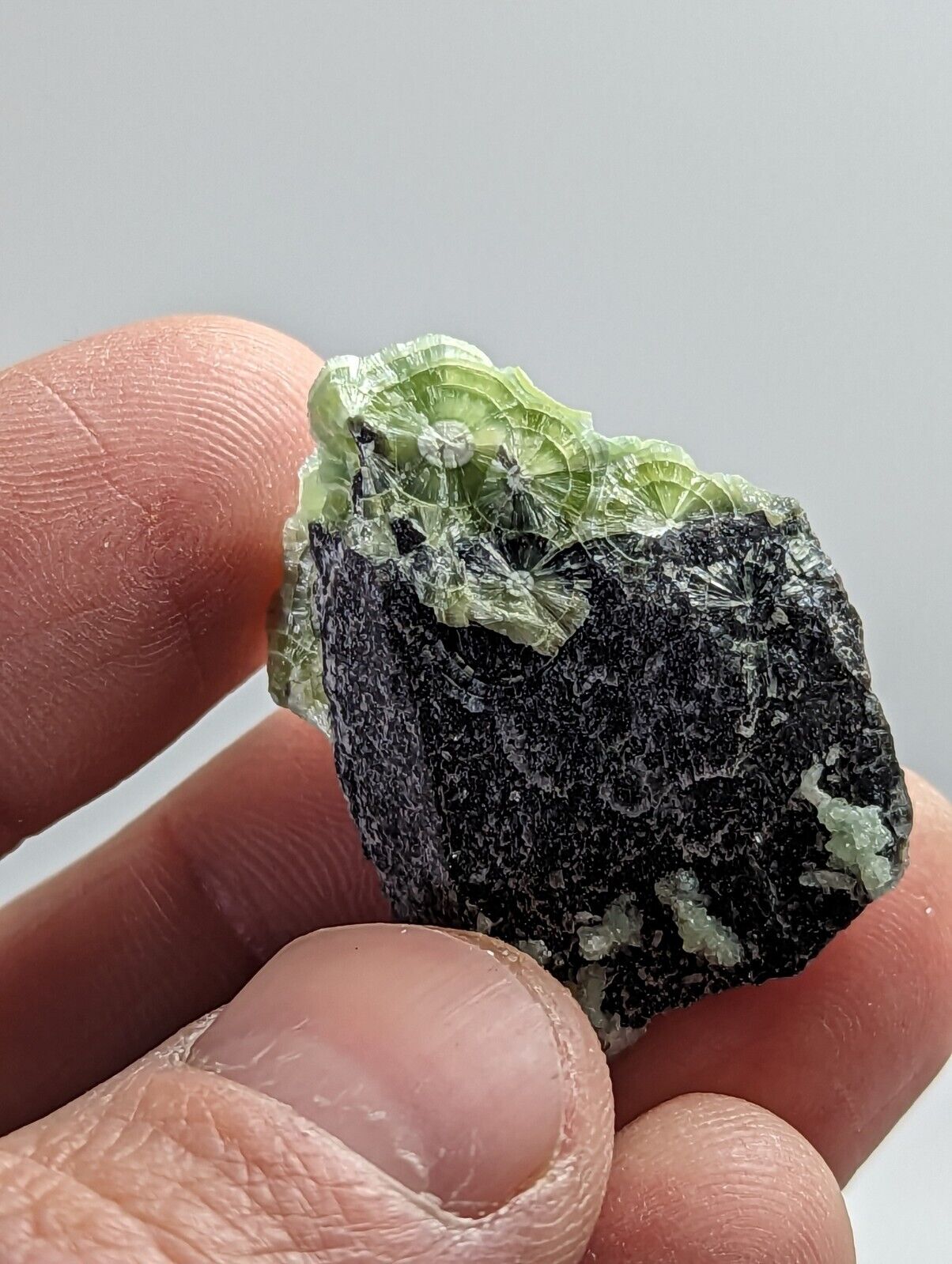 Green Wavellite - Fantastic 1990s Old Stock - Mauldin Mountain Arkansas - Collectibles:Rocks Fossils &
