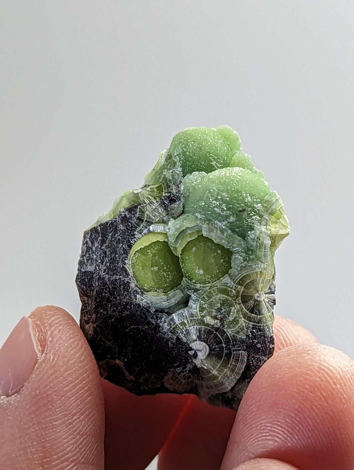 Green Wavellite - Fantastic 1990s Old Stock - Mauldin Mountain Arkansas - Collectibles:Rocks Fossils &