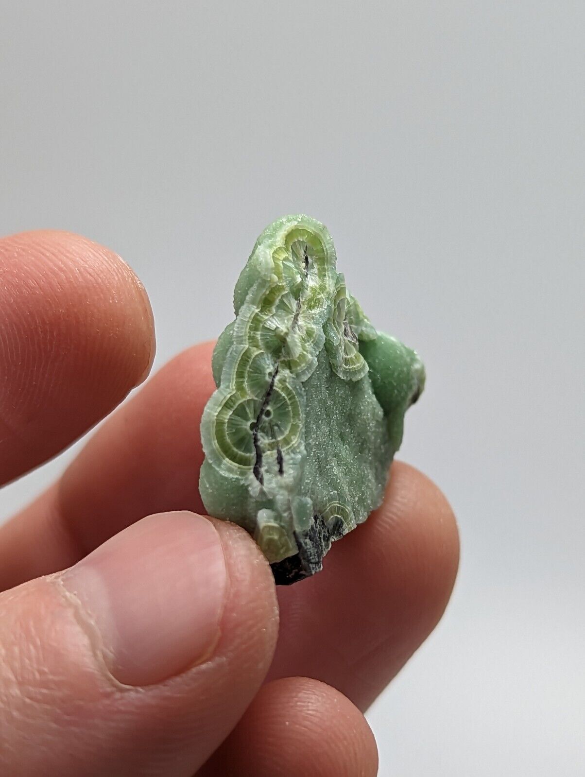Green Wavellite - Fantastic 1990s Old Stock - Mauldin Mountain Arkansas - Collectibles:Rocks Fossils &