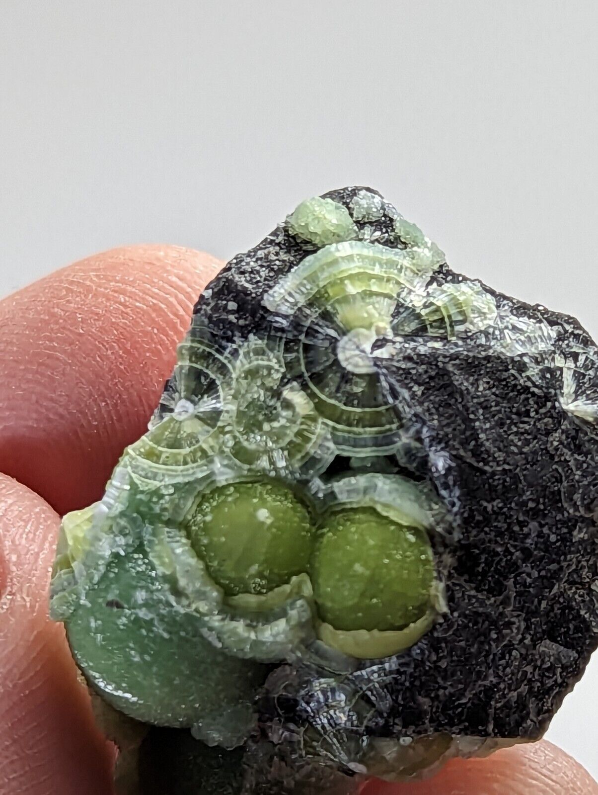 Green Wavellite - Fantastic 1990s Old Stock - Mauldin Mountain Arkansas - Collectibles:Rocks Fossils &