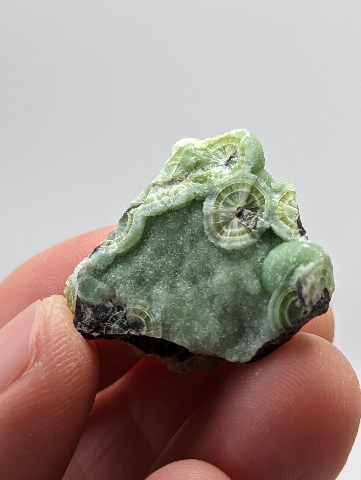 Green Wavellite - Fantastic 1990s Old Stock - Mauldin Mountain Arkansas - Collectibles:Rocks Fossils &