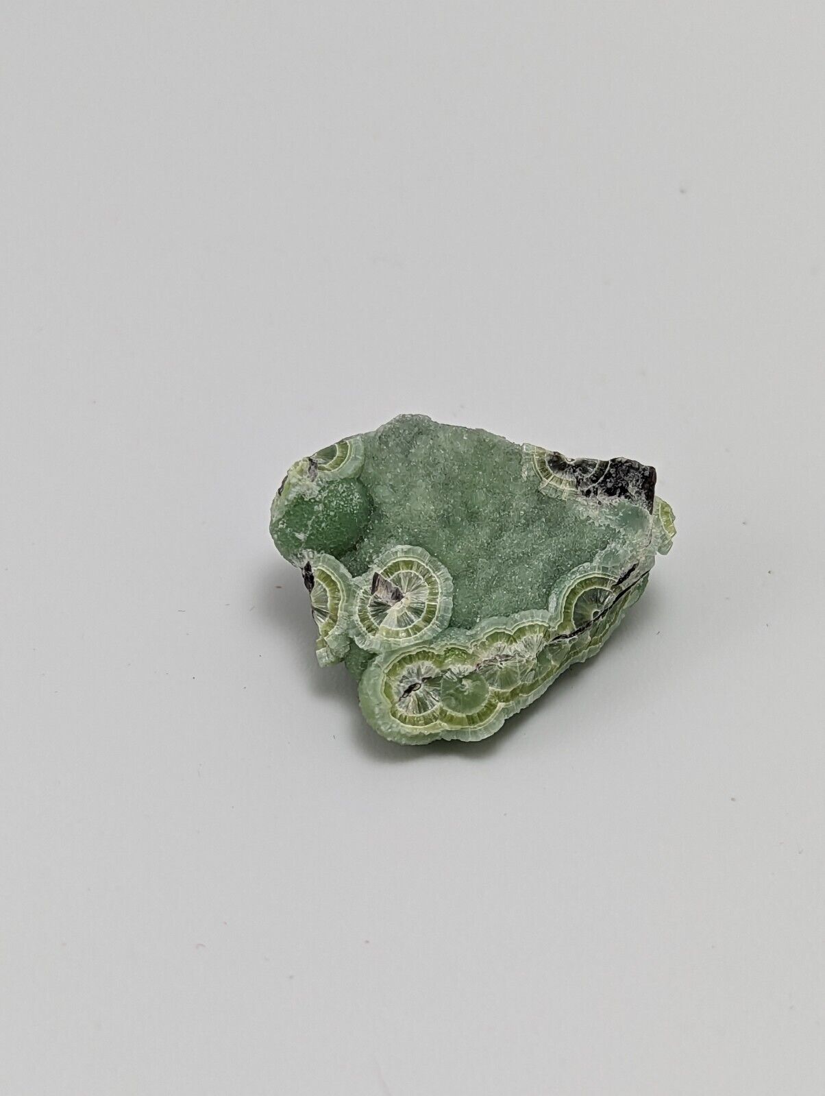 Green Wavellite - Fantastic 1990s Old Stock - Mauldin Mountain Arkansas - Collectibles:Rocks Fossils &