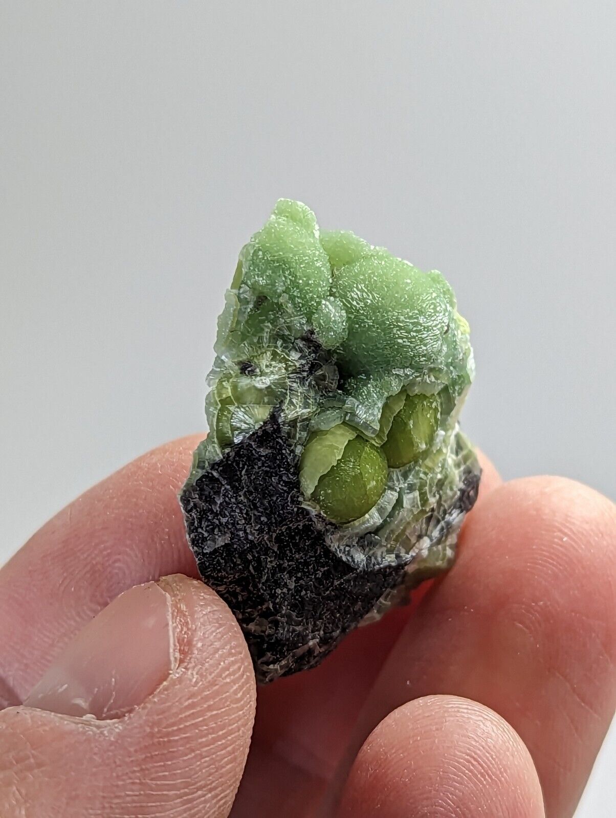 Green Wavellite - Fantastic 1990s Old Stock - Mauldin Mountain Arkansas - Collectibles:Rocks Fossils &