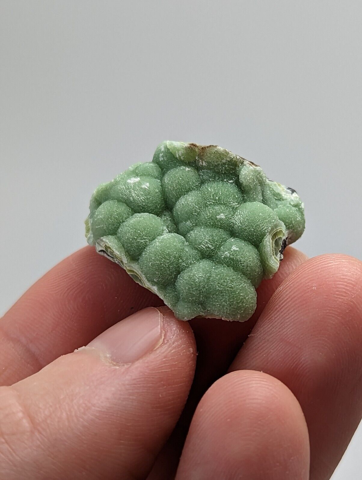 Green Wavellite - Fantastic 1990s Old Stock - Mauldin Mountain Arkansas - Collectibles:Rocks Fossils &
