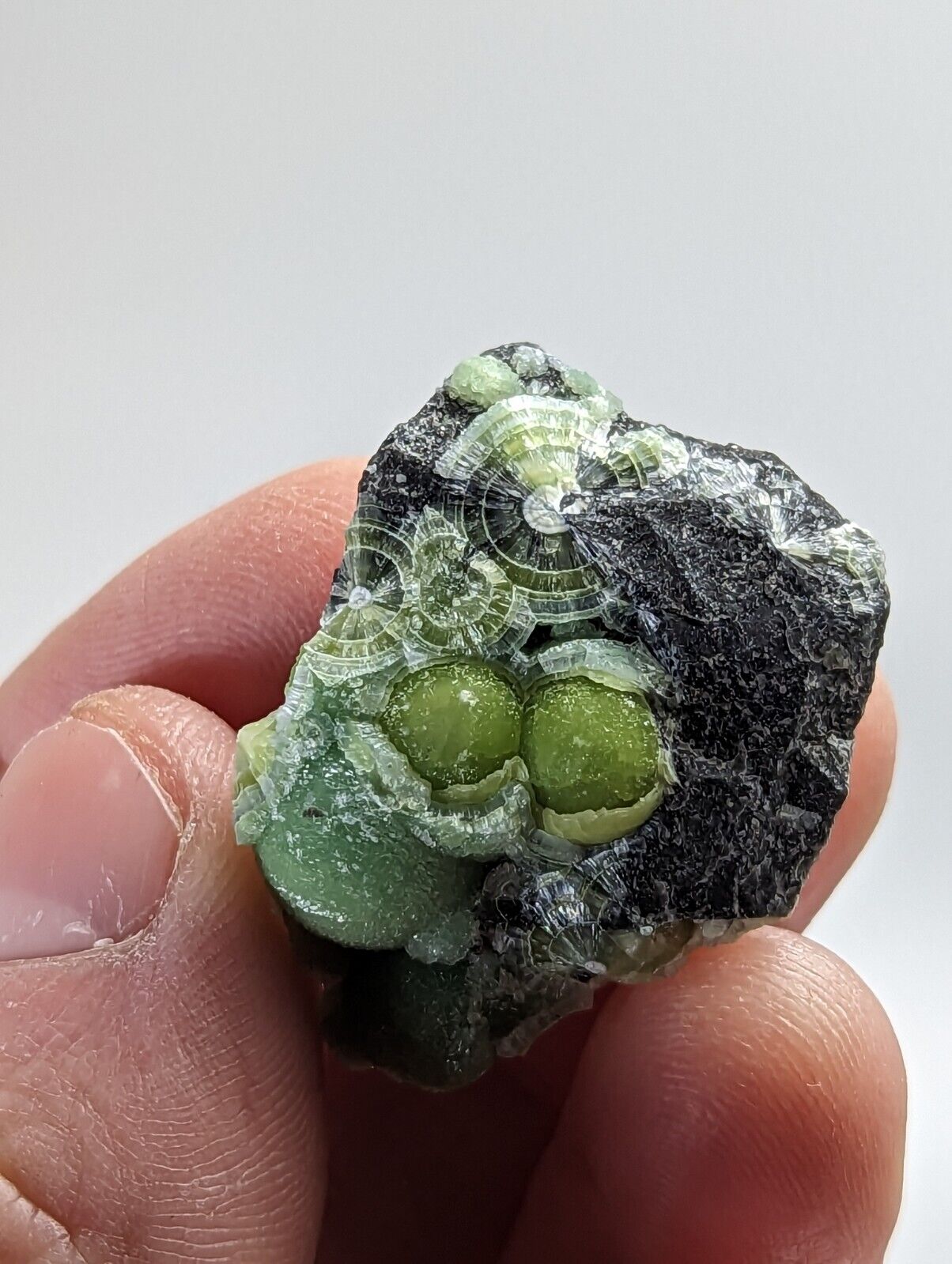 Green Wavellite - Fantastic 1990s Old Stock - Mauldin Mountain Arkansas - Collectibles:Rocks Fossils &